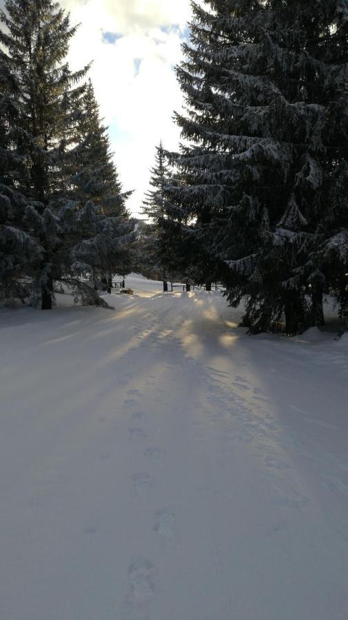 Rifugio La Capanna *